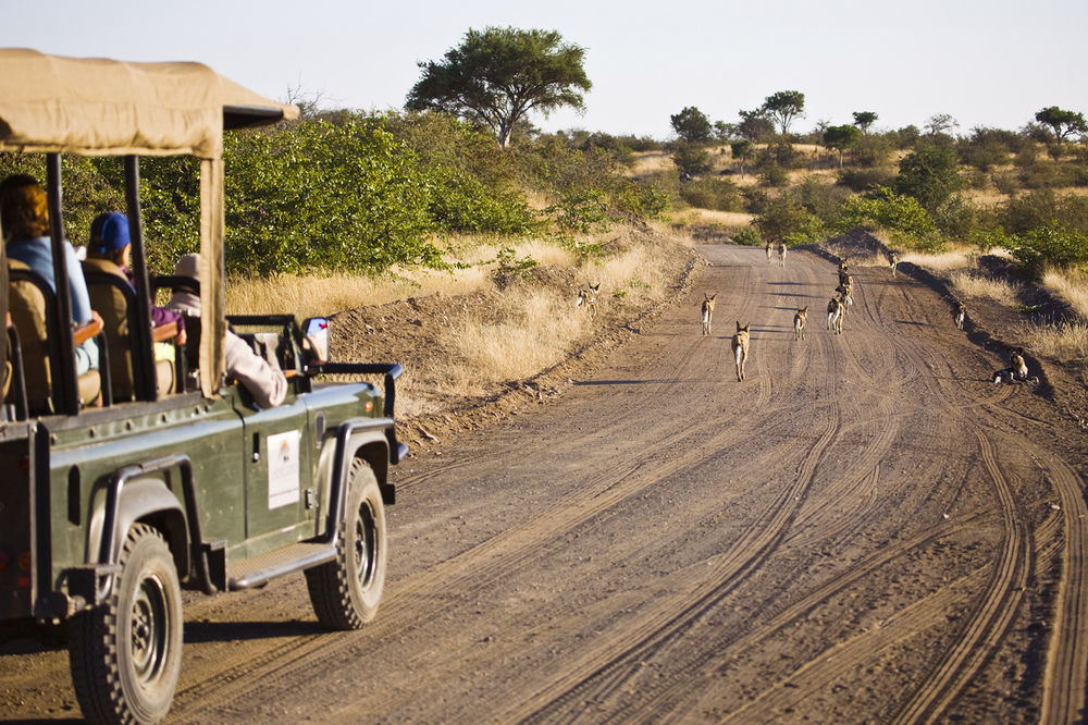 Tuli Safari Lodge Lentswelemoriti 外观 照片